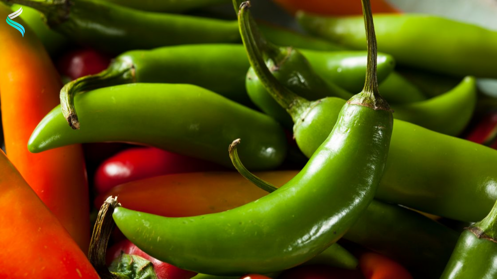 Serrano Pepper