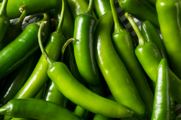 Serrano Pepper