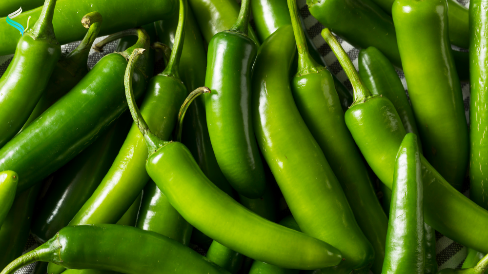 Serrano Pepper