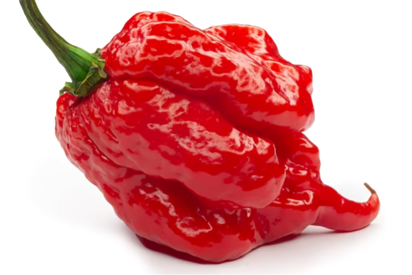 Scorpion Pepper