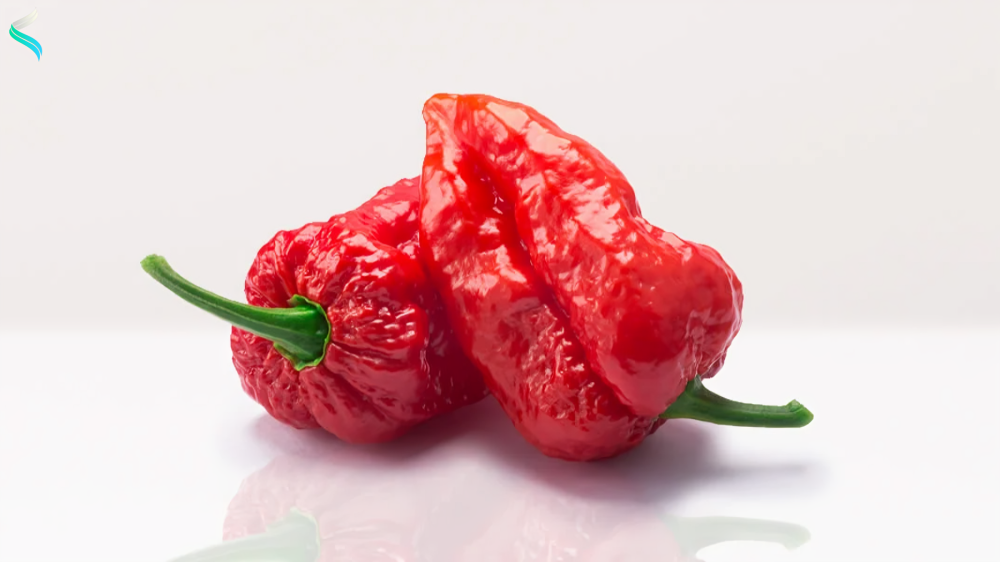 Scorpion Pepper