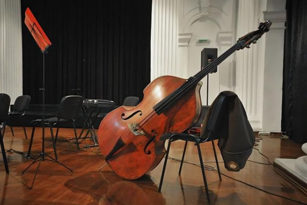 Double Bass