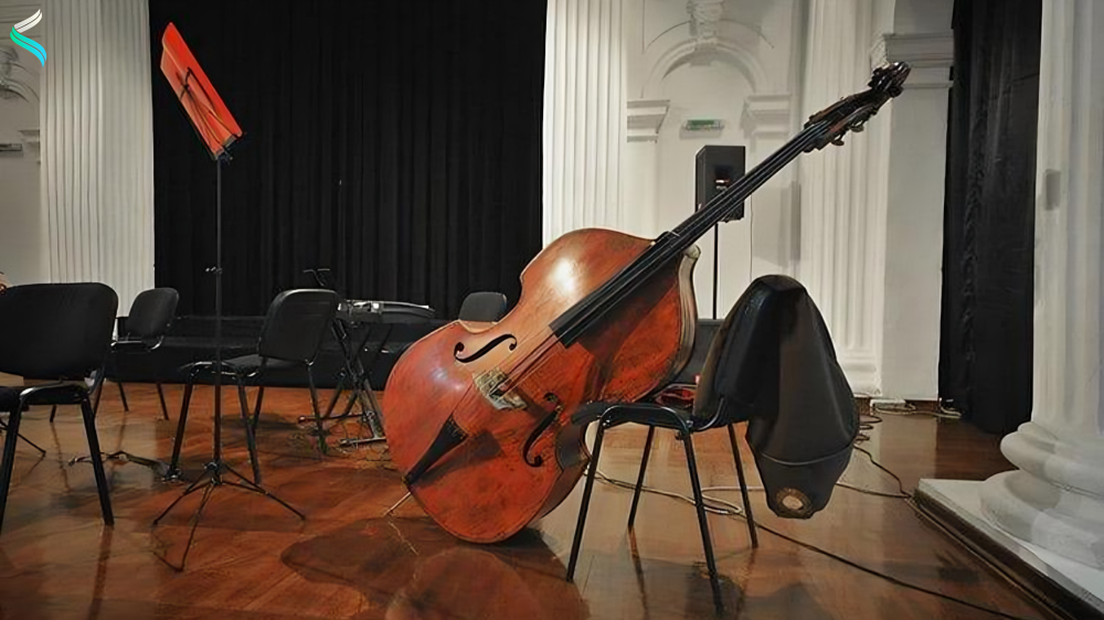 Double Bass