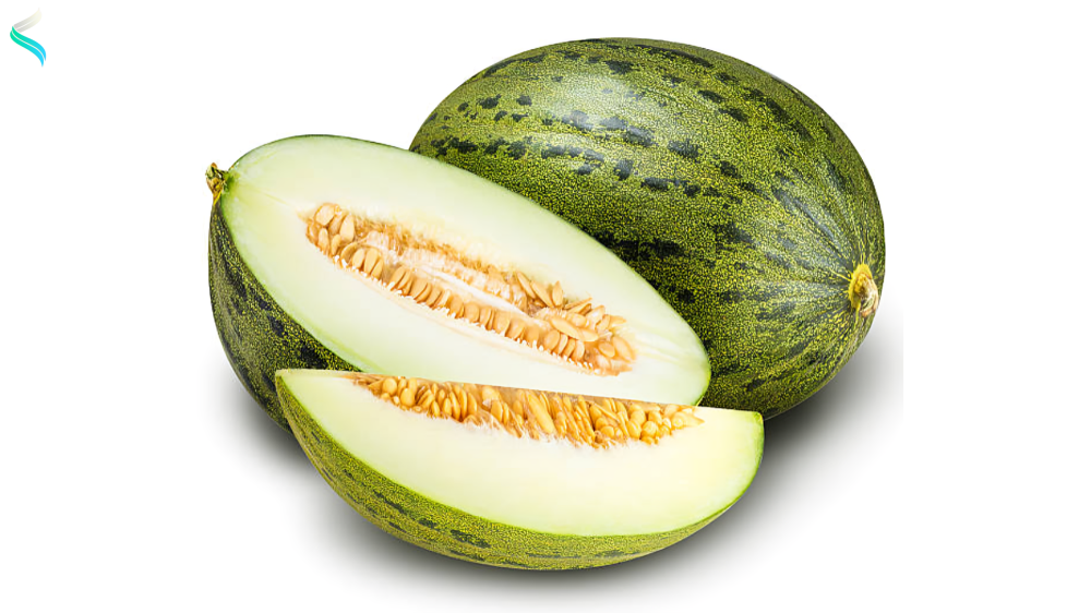 Santa Claus Melon