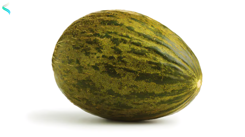 Santa Claus Melon