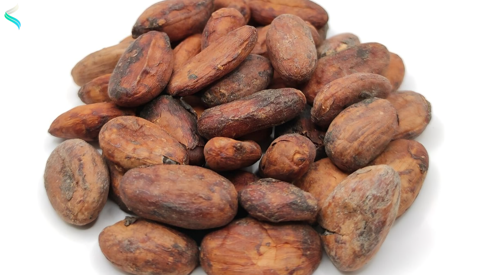 Cacao Beans