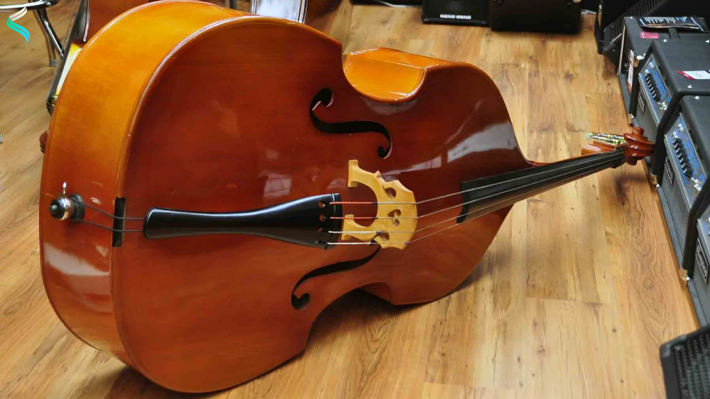 Double Bass